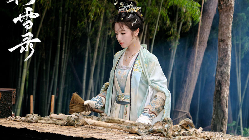 Coroner’s Diary – Everything You Need to Know About the Drama